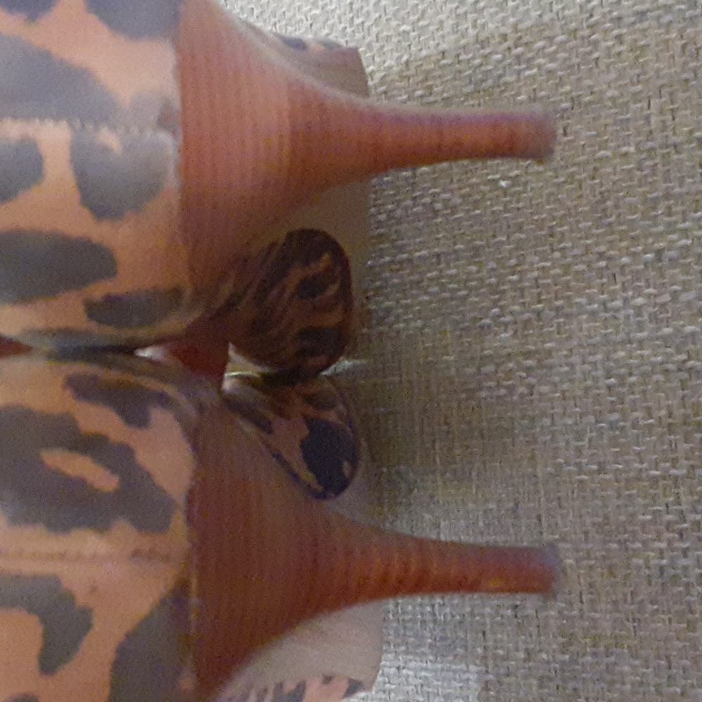 Jessica Simpson - Picture 3 of 8